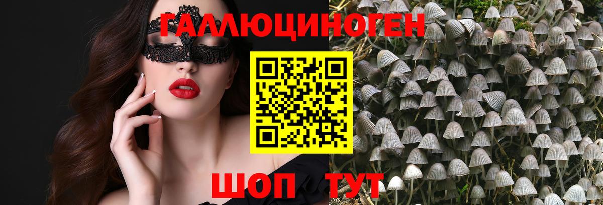 Галлюциногенные грибы Psilocybe  Вход с VPN  Электрогорск 